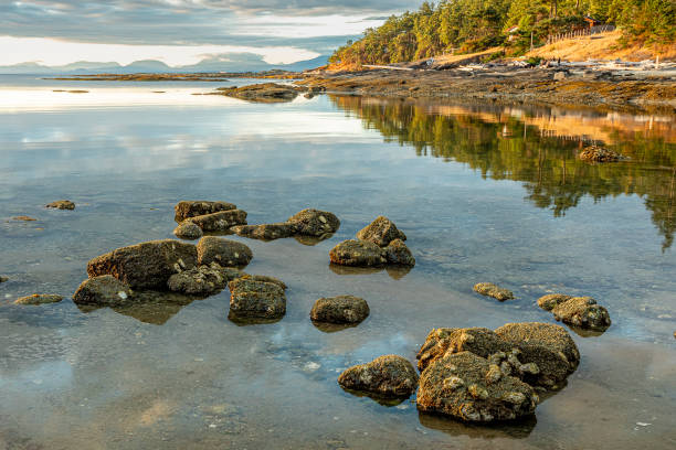 istock Early morning sun, sandpiper beach 2181411702