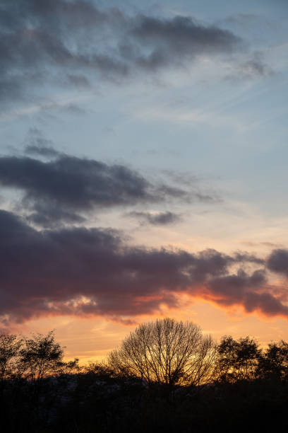 istock Silhouette of winter trees against a beautiful sunset sky 2181412326