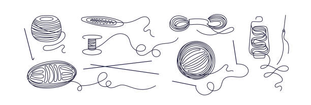 Balls of thread. Vector continuous line. Knitting Balls of thread. Vector continuous line. Round skein of knitting. Crafting hand hobby. Merino, wool for knit needles, cotton for crochet, linen. Sketch collection for handmade design messy ball of yarn stock illustrations