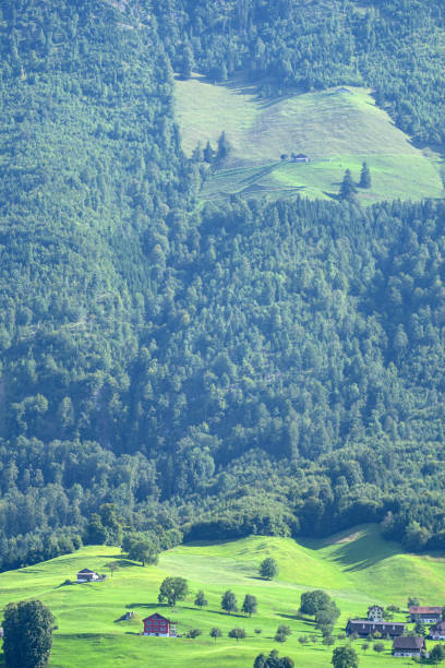 Mountains and tree background. Mountains landscape. Alpine meadows and beautiful mountains. Forest background. Green mountain landscape background. Touristic View of mountain. Nature background