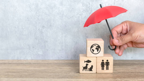 istock Holistic Health: Embracing Human, Animal, and Environmental Well-Being for a Cleaner Future 2181417424