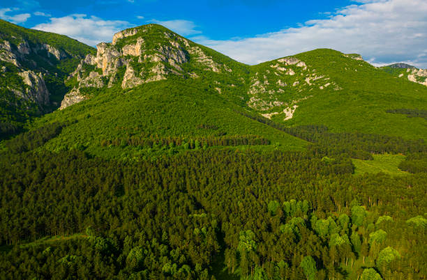 A vibrant landscape showcasing lush green mountains and dense forests beneath a bright blue sky, conveying tranquility and untouched natural beauty.