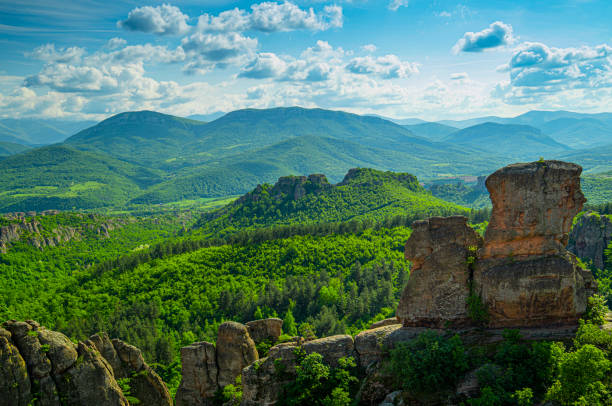 A breathtaking view of verdant mountains and expansive forests under a brilliant sky, evoking a sense of awe and tranquility, captured with vivid detail.