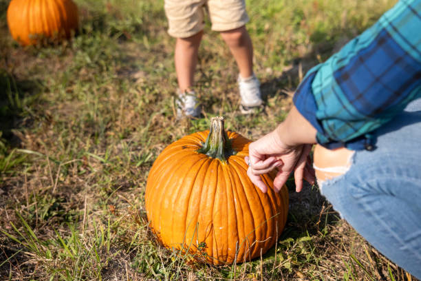 istock Mother and Child Selecting Pumpkin for Halloween 2181432750