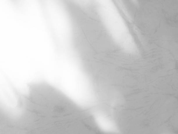 Wall grey shadow light summer background sunight overlay nature on room cement wall floor abstract blur muckup effect grey minimal platform for presentation product backdrop, wallpaper template.
