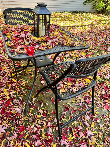 istock Outdoor table and chairs surrounded by colored leaves during fall 2181438927