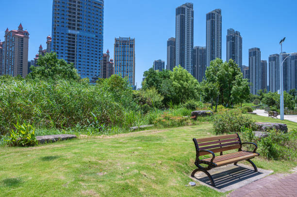 Pathway bench in the beautiful city park