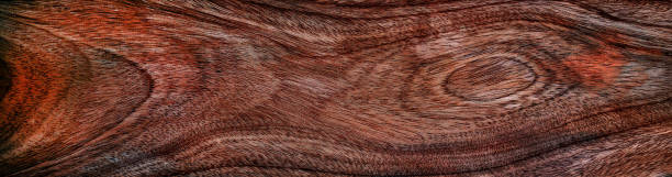 Abstract wood texture as background, macro view