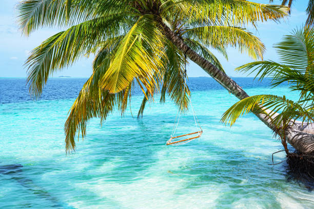 istock Swing hanging from coconut palm tree on tropical beach by the sea 2181448760