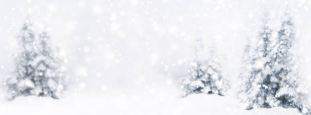 istock Blurred winter background with fir trees in winter with snowfall 2181450706