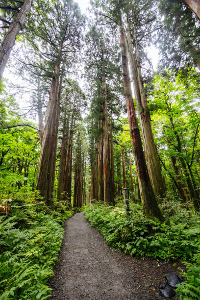 istock Nagano in Japan 2181451462