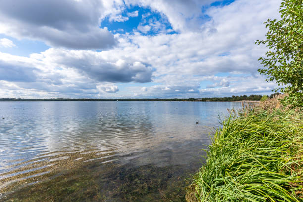 istock Beautiful natural lake called Cospudener Lake 2181455287