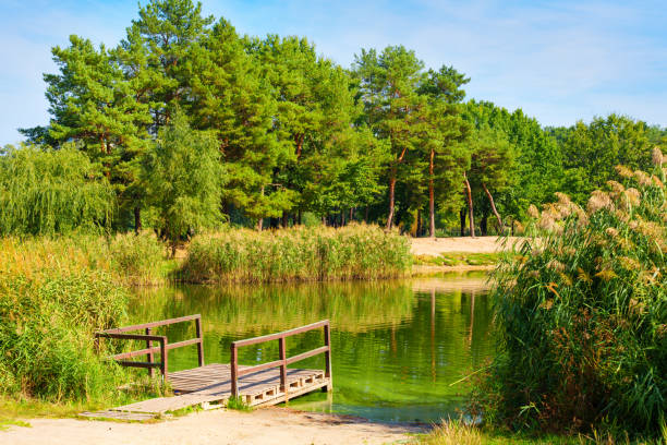 istock Serene Nature Scene By The Lake 2181467909
