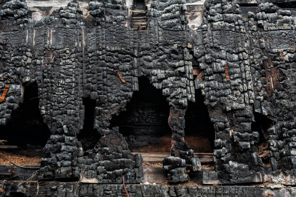Burnt wood texture provides a dramatic contrast and serves as a rustic background