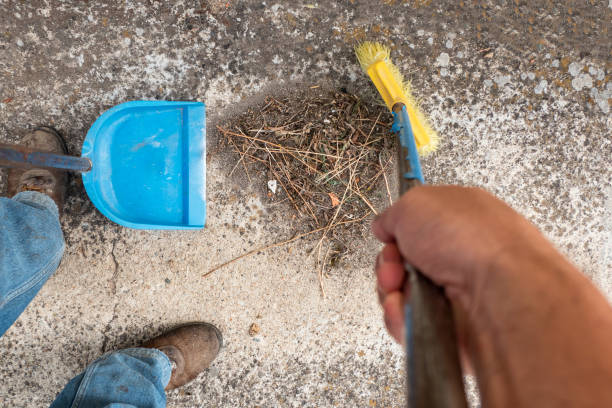 Cleaning in action. Sweeping and collecting