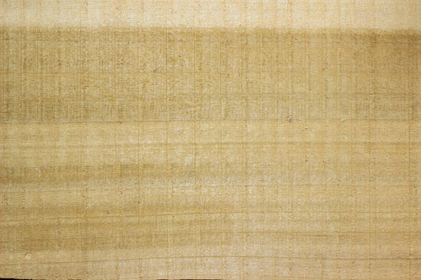 istock texture of wood background 2181477613