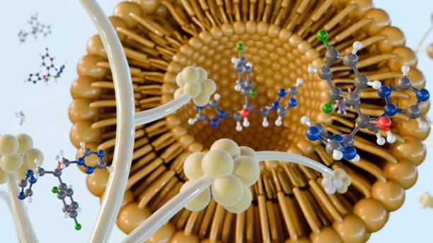 istock 3d rendering of fluconazole molecules within liposome to fight Candida infections. 2181483179
