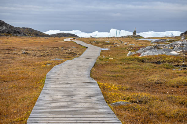 istock Boardwalk leading to a fjord with icebergs 2181483267