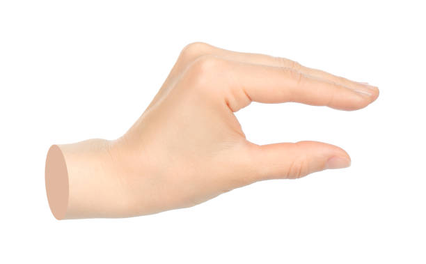 istock Hands shows virtual holding something isolated on transparent background. Contemporary art 2181483294
