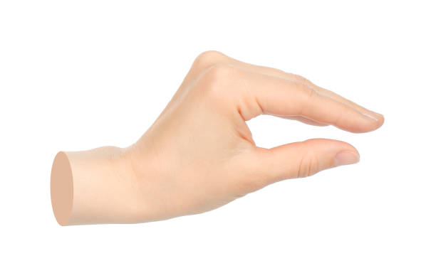 istock Hands shows virtual holding something isolated on transparent background. Contemporary art 2181483308