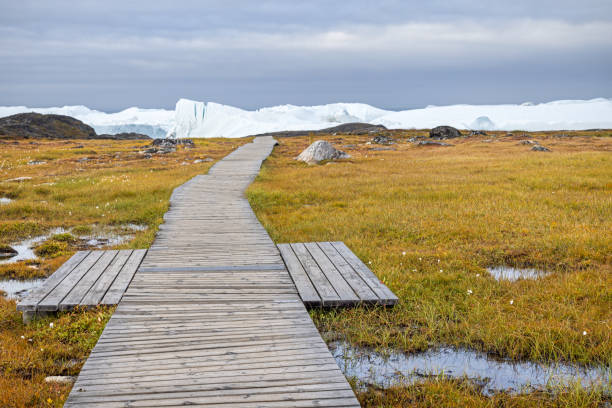 istock Boardwalk leading to a fjord with icebergs 2181483318