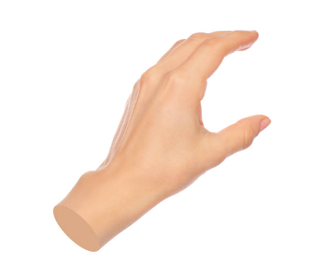 istock Hands shows virtual holding something isolated on transparent background. Contemporary art 2181483322