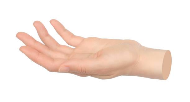 istock Hands shows virtual holding something isolated on transparent background. Contemporary art 2181483327