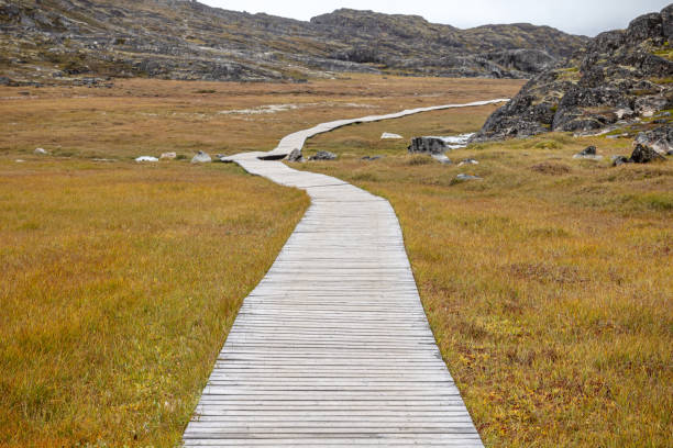 istock Boardwalk to protect the fragile tundra 2181483364