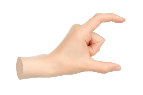 istock Hands shows virtual holding something isolated on transparent background. Contemporary art 2181483409