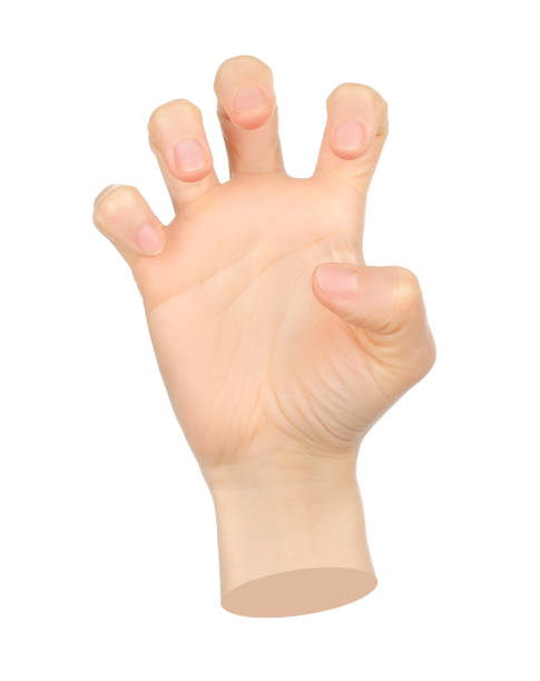 istock Hand shows gesture isolated on transparent background. Contemporary art 2181483853