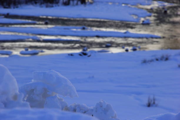 A winter wonderland and a river in the background