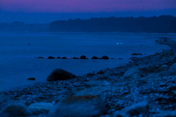 Two swans  in the mist at dusk\nphoto as a background, digital image