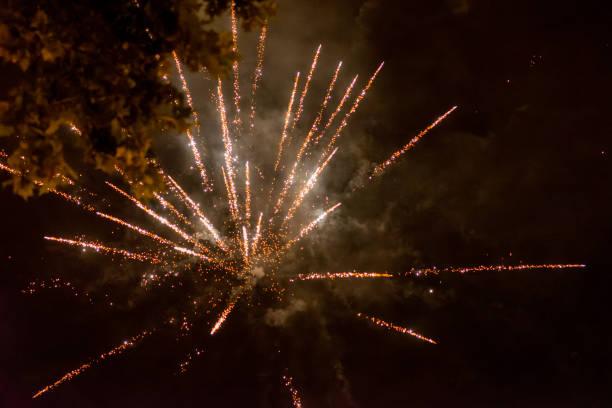 istock Red and Green Fireworks Display in Night Sky 2181488728