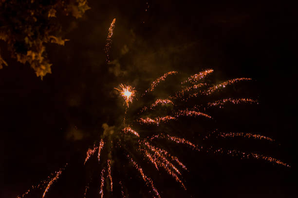 Red and Green Fireworks Display in Night Sky