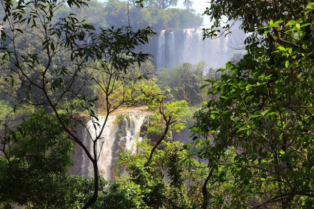 istock Iguazu Falls, Brazil 2181489980
