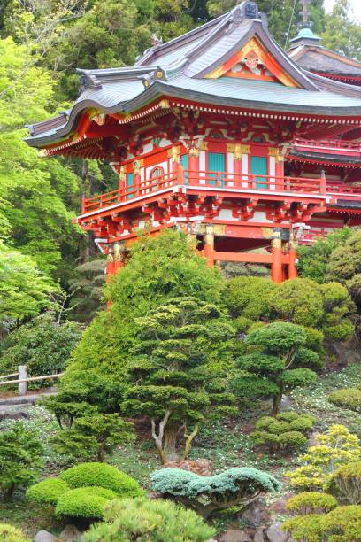 istock San Francisco Japanese Tea Garden 2181493064