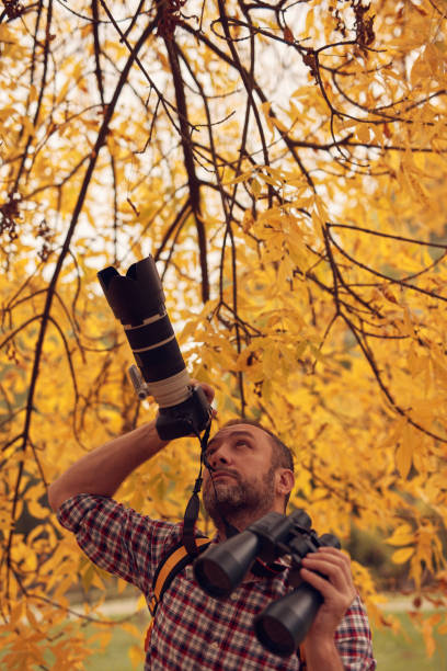 istock Man using binoculars and camera for bird and animal watching in nature. 2181494751