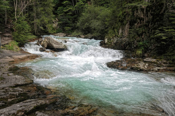 istock Flowing River in Lush Forest Landscape 2181496277