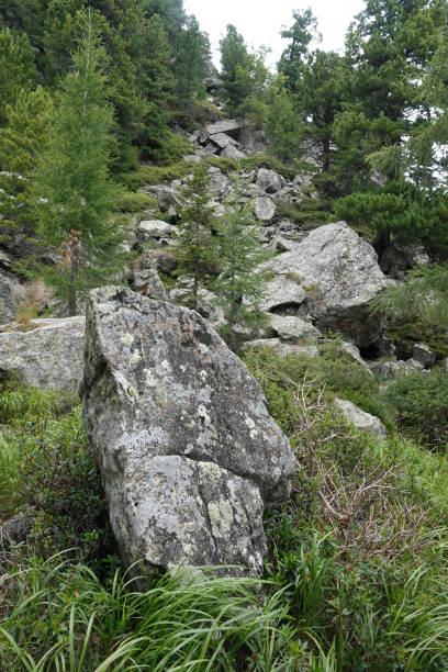 istock Rocky Hillside with Boulders and Green Foliage 2181496487