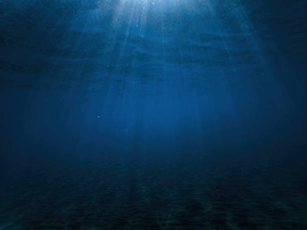 istock Underwater shot of deep blue ocean in summer 2181496995