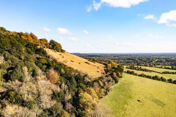 istock Autumn in Surrey England 2181498755