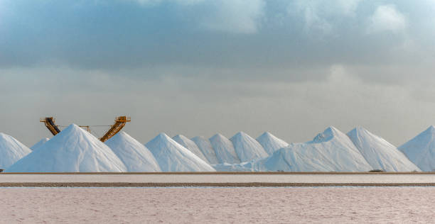 White Salt and Pink Water.