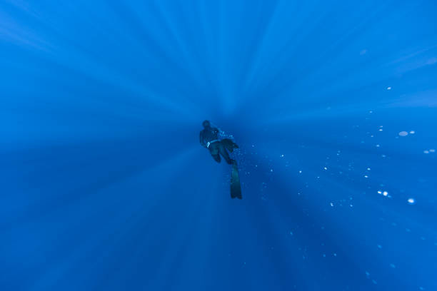 Freediver Swimming in Deep Sea With Sunrays. Young Man DIver Eploring Sea Life.