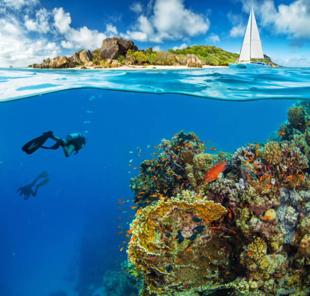 istock Under and above water surface view of scuba divers. 2181501421