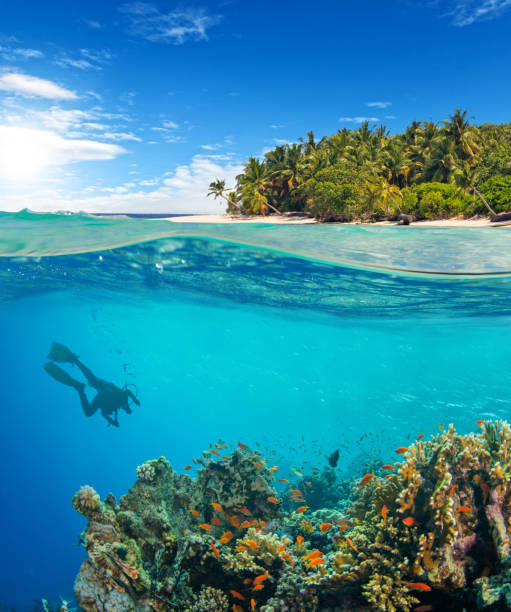 istock Under and above water surface view of scuba diver 2181501644