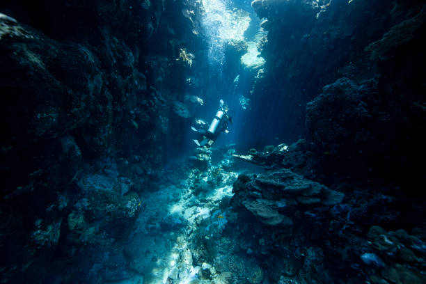 istock Diver exploring the coral reefs and cave in Egypt. 2181502354