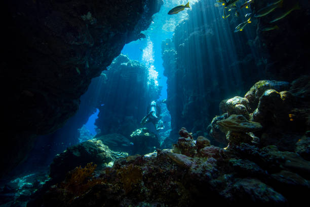 istock Diver exploring the coral reefs and cave in Egypt. 2181502390