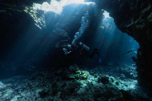 istock Diver photographer exploring the coral reefs and cave in Egypt. 2181502437