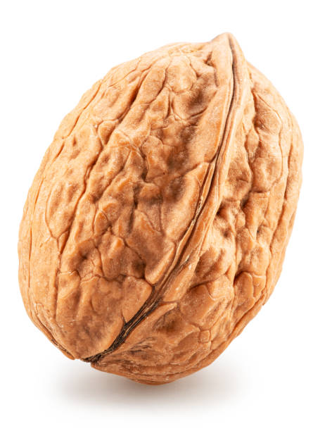 istock One whole walnut isolated on white background. File contains clipping path. 2181503534