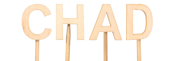 istock Wooden letters spelling Chad, attached with sticks for decorative or educational use. Country in central africa. 2181503849
